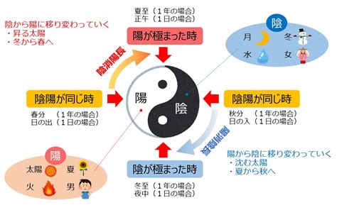 陰と陽 人間